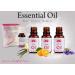 Reiki Crystal Products Bergamot Essential Oil - 15 ml Aroma Therapy - Buy Online on GoSupps.com