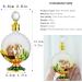 YU FENG 30ml Antique Glass Perfume Bottle Empty Vintage Camel Decorative Perfume Bottle Refillable Perfume Bottle Dropper Bottle for Women Girl Gift Brown - Buy Online on GoSupps.com