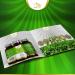 LN Bacopa Monnieri | 120 Vegan High Strength Brahmi Capsules | Non-GMO | Made in UK - Buy Online on GoSupps.com