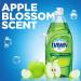 Dawn Antibacterial Dish Soap + Hand Soap Bundle - Original & Apple Blossom Scent - 56 oz Refills - Buy Online on GoSupps.com