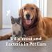 PetArmor Ear Rinse 4 oz for Dogs & Cats - Gentle Ear Cleaning Solution - Buy Online on GoSupps.com