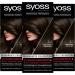 Syoss color hair color 3_1 dark brown level 3 (115 ml) permanent coloring for up to 10 weeks of color intensity and 70 % less hair break* 3_1 dark brown 115 ml (3 pack)