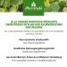 Moringa Oil Body & Soul 100ml - Premium Cold-Pressed Oil Blend for Skin & Cooking | Moriveda - Buy Online on GoSupps.com