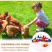 Taicols 100 16mm Chicken Recognition Leg Straps 5 Colors Chicken Foot Labels Ducks Pigeons Guinea Pigs Geese Poultry (16mm) - Buy Online on GoSupps.com