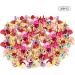 Xijuer 200PCS Metal Paper Brass  Mini Brads Multi Color Small Heart Metal Brad  Paper Fasteners Pastel Brads for Art Scrapbooking Crafting - Buy Online on GoSupps.com
