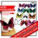 Cakeshop 12 x PRE-CUT Assorted Colour Edible Butterfly Cake Toppers - Buy Online on GoSupps.com