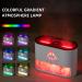 Essential Oil Diffuser with Remote - 250ml Himalayan Salt Aromatherapy 2 Mist Modes Ambient Glow & Auto-Off for Home & Office - Black - Buy Online on GoSupps.com