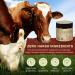 Beef Tallow Cr me bio 100 % grassfed de b uf pour les soins de la peau avec huile de ricin et huile d'encens visage et corps hydratant pour toutes les peaux - Buy Online on GoSupps.com