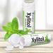 Miradent Xylitol Spearmint Display 12 Cans of 30 - Buy Online on GoSupps.com
