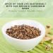 SPICY ORGANIC Premium Decorticated Cardamom Seeds 4 Oz - 100% USDA Organic for Baked Goods, Beverages, Curries & Meat Dishes - Buy Online on GoSupps.com