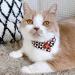 Necoichi Ninja Cat Bandana Collar - Black | Stylish and Adjustable for Your Feline Friend - Buy Online on GoSupps.com