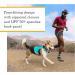 RUFFWEAR Swamp Cooler Zip Vest Dog Jacket Small Blue Mist | SPF 50+ Sun Protection - Buy Online on GoSupps.com