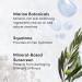 bareMinerals Complexion Rescue Tinted Moisturizer SPF 30 + Hyaluronic Acid | Hydrating Vegan Skin Tint Sunscreen - Travel Size Dune 7.5 - Buy Online on GoSupps.com