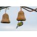 DoBar 24101e Bird Feed Bells - 8 Premium Nut & Mealworm Feed Bells for Year-Round Wild Birds - Perfect for Hanging - Buy Online on GoSupps.com