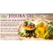 Pure Cold Pressed Jojoba Oil 4 OZ - Natural Unrefined Moisturizer for Skin Massage & Soap Making | 100% Pure Golden Jojoba Oil - Buy Online on GoSupps.com