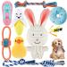 Rio Direct dog toys Small dogs 8 quieted plush dog rope puppy toys Small puppy washable natural cotton and non -toxic (pretty rabbit style)