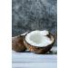 Camelur 1kg Organic Bio Coconut Chips - Raw & Unsweetened Perfect for Porridge Topping - Additive-Free Eco-Friendly Packaging - Buy Online on GoSupps.com