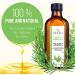100% Pure Rosemary Oil for Hair Growth, Skin Care & Scalp Nourishment - 3.5 Oz Bottle - Aromatherapy & Hair Loss Treatment for Men & Women - Buy Online on GoSupps.com