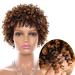 Kinky Curly Wigs for Black Women Short Curly Wigs for Black Women Afro Wig with Bangs Natural Hair Wigs for Black Women 1T30