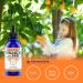Liquid Vitamin C with Zinc - 4oz - 60 Servings - Organic Non-GMO - Adults and Kids - 99% Pure Ascorbic Acid - VIT C Drops - Bioactive Vitamin C Liquid - Immune Support Skin Health Antioxidants - Buy Online on GoSupps.com