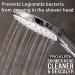 Pro-Kleen Shower Head Cleaner & Descaler - Deeply Cleans to Remove Dirt Bacteria Limescale Grime and Debris - Prevents Legionella Bacteria - Easy to Use Formula (1 Litre) - Buy Online on GoSupps.com