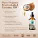 Bella Terra Oils - Organic Fractionated Coconut Oil 2 oz | Pure MCT Oil for Silky Skin | Ideal for Skincare & Haircare - Buy Online on GoSupps.com