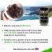 Supreme Fresh Sea Moss Gel 175ml | Wildcrafted from Irish Waters | 100% Natural | 92 Essential Micronutrients | Immune Support - Buy Online on GoSupps.com