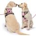 Nestroad Pink Dog Harness for Medium Dogs - Anti-Pull Safety Belt | Size M (Neck 33-43cm Chest 43-64cm) - Comfortable & Padded - Buy Online on GoSupps.com