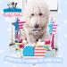 Barley's Bakes Birthday Cupcake Mix for Dogs | Peanut Butter Flavor | 9 oz | Wheat & Gluten Free | Made in USA by The Bear & The Rat - Buy Online on GoSupps.com