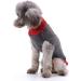Christmas Dog Sweater - Warm Turtleneck Knitwear for Puppies | Gray Reindeer Pattern | Perfect Holiday Gift - Buy Online on GoSupps.com