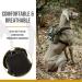 OneTigris Eureka Small Dog Backpack - Hiking Backpack with Poop Bag Dispenser for Small Dogs - Green - Buy Online on GoSupps.com