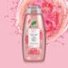 DR ORGANIC Guava Body Wash - Natural Hydration for Healthy Skin | Shop Internationally - Buy Online on GoSupps.com