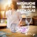 Puraja Gem Water Basic Set - Premium Crystals for Water Revival | Natural Stones: Rose Quartz Amethyst Mountain Crystal (150g) - Buy Online on GoSupps.com