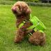 Oyrcvweuy Turtle-Shaped Socks & Pet Crockery Bag - Large Capacity Plush Backpack for Outdoor Adventures - Buy Online on GoSupps.com