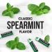 ChapStick Classic Spearmint Lip Balm Tubes - 12 Pack, 0.15 Oz | Effective Lip Care - Buy Online on GoSupps.com