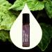 Plant Therapy Aged Dark Patchouli Essential Oil Roll-On 10 mL (1/3 oz) Pre-Diluted in Fractionated Coconut Oil Long-Lasting Personal Fragrance 100% Pure Natural Expertly Aged for Depth Rich Aroma - Buy Online on GoSupps.com