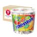 Mentos Mini Fruit Mix Bucket - Bucket of 120 mini rolls with gift from Pere's Candy