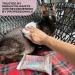 Kotomoda Wet Wipes for Sphynx Cats - Daily Use with Panthenol | 16 Pack (240 pcs) | Best International Shipping - Buy Online on GoSupps.com