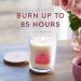 Glade Wild Rose Petals Scented Candle - Extra Large 454g Jar, 85 Hour Burn Time - Buy Online on GoSupps.com