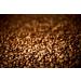 Nescafe Toffee Nut Latte Instant Coffee 8 x 18.6g Sachets 100% Responsibly Sourced Coffee - Buy Online on GoSupps.com