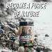 GRIZZLY AMINOS & NOOTROPICS STRAWBERRY KIWI Endurance Recovery Focus EAA Amino Acids Tyrosine - Buy Online on GoSupps.com