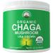 Chaga Mushroom Powder - USA Grown Made With Real Organic Chaga Chunks. Support Aging Energy Digestion. Vegan Bulk Chaga Mushrooms Powder. Ground Chaga Powder Extract. Mix With Tea & Coffee
