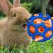 Hanging Hay Feeder Ball for Rabbits & Guinea Pigs - Pet Food Dispenser & Toy - Blue - Buy Online on GoSupps.com
