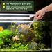 Vorestic 38cm Aquarium & Terrarium Long Tweezers Set | Reptile Feeding Tongs Kit - Buy Online on GoSupps.com
