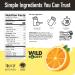 WILD SOCIETY Premium Clear Whey Protein Isolate - 20g Protein Electrolytes No Sugar GMO-Free - Refreshing Citrus Punch Flavor - 16 oz - Buy Online on GoSupps.com