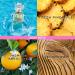 Juicy Couture Oui Splash 1.7 Fl Oz - Buy Online on GoSupps.com