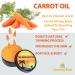 Premium Tan Accelerator Cream for Sunbed & Natural Tanning - Carrot Oil - 90.00 ml - UK Brand - Buy Online on GoSupps.com