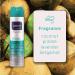 ABOVE Strong and Classic 48-Hour Antiperspirant Deodorant for Women | Peony & Black Currant | Alcohol-Free Dry Spray | 3.17 oz - Protects Against Sweat & Odor - Buy Online on GoSupps.com