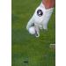 SHANKITGOLF You Suck Funny Golf Glove - Cabretta Leather Compression-Fit for Men & Women - Breathable, Stable Grip - Golf Gift (Large, Left Hand) - Buy Online on GoSupps.com