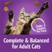 Friskies Party Mix Cat Treats Kahuna Crunch with Real Ocean Whitefish - 170 g Pouch (1 Pack) 170 g (Pack of 1) - Buy Online on GoSupps.com